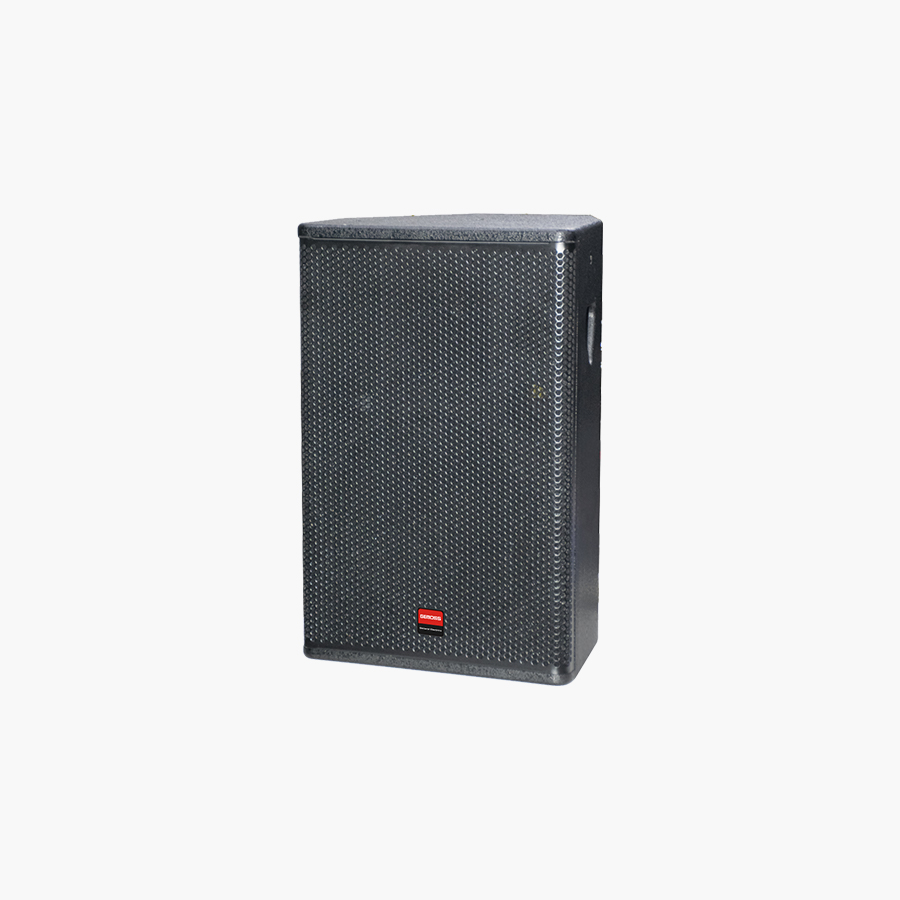 专业壁挂音箱 REP-215